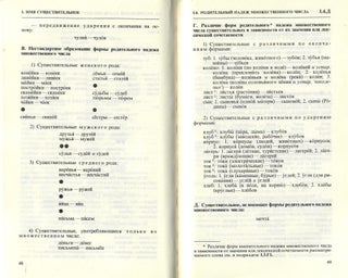 Словарь грамматических трудностей русского языка