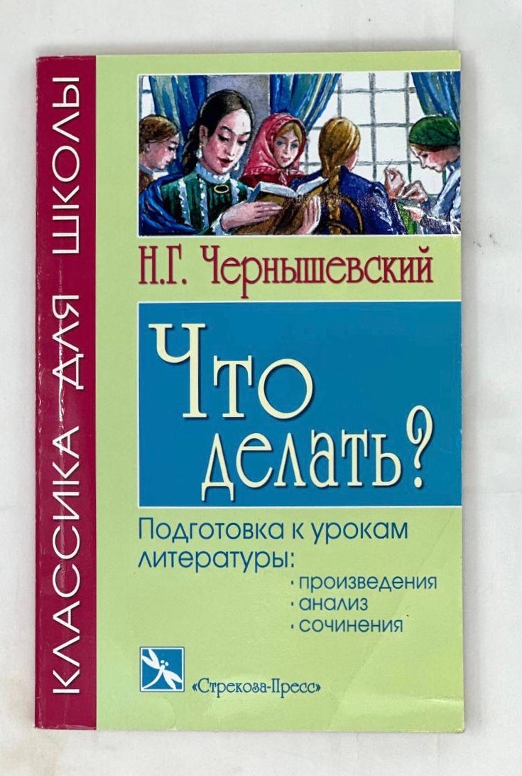 Роман Н. Г. Чернышевского «Что делать?» и жизненный идеал народовольца