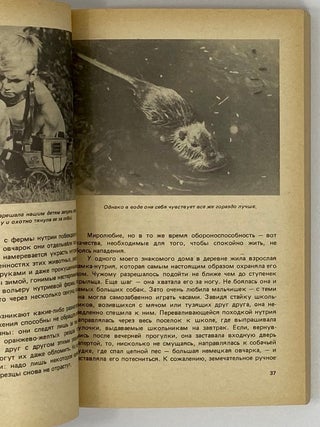 Мы вовсе не такие