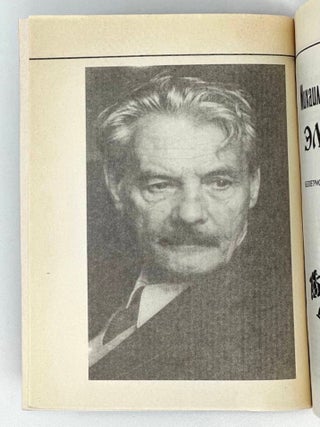 Эльга: Беллетристические мемуары