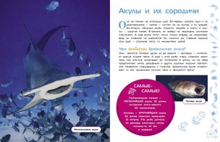 Морские животные