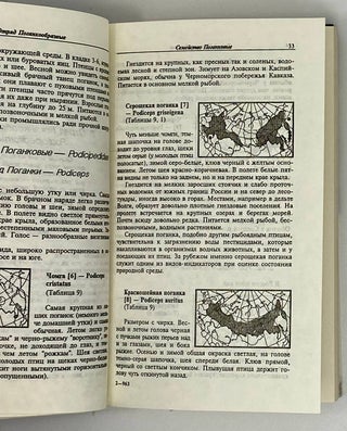 Птицы