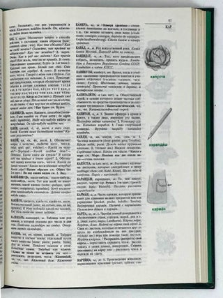 Краткий толковый словарь русского языка (для иностранцев)