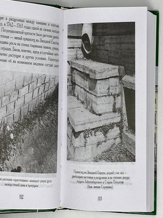 Зеленый мир старого Петербурга