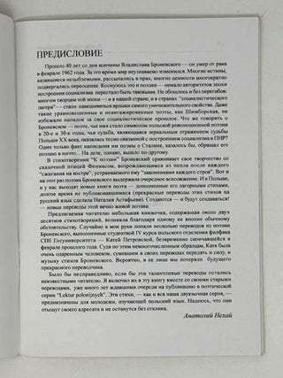 Польский солдат
