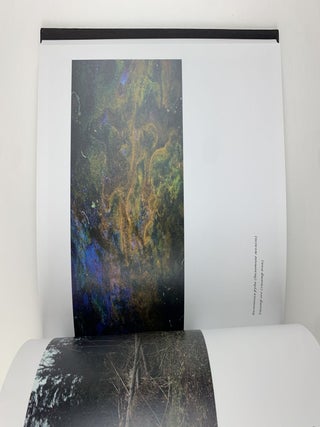 Морок / Morok