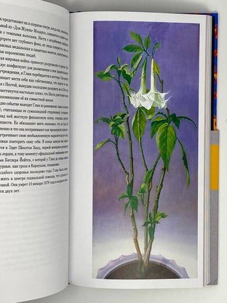 Истории непризнанных гениев. Аутсайдеры в искусстве