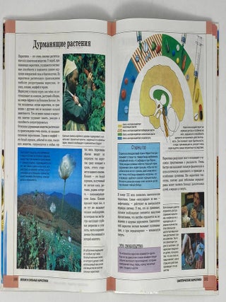 Человек. Вчера, сегодня, завтра