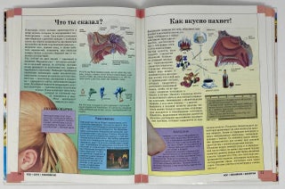 Человек. Вчера, сегодня, завтра