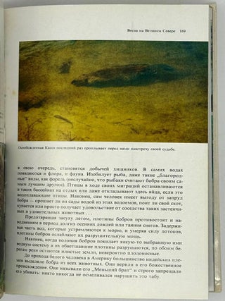 Лососи, бобры, каланы