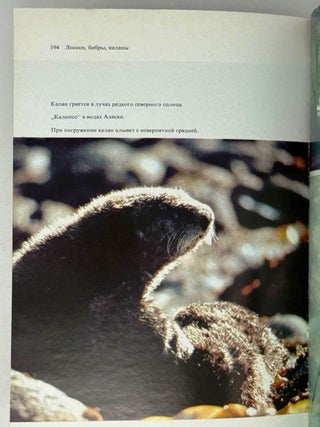 Лососи, бобры, каланы