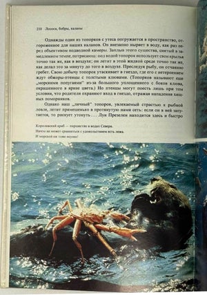 Лососи, бобры, каланы