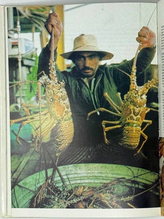 Сюрпризы моря