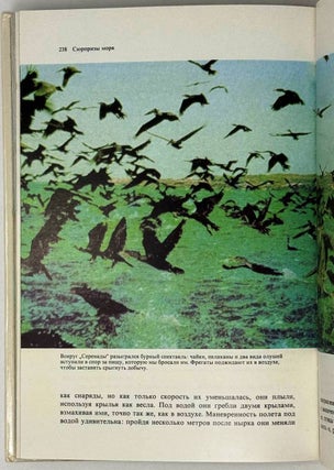 Сюрпризы моря