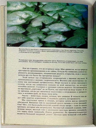 Сюрпризы моря