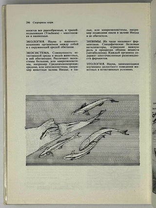 Сюрпризы моря