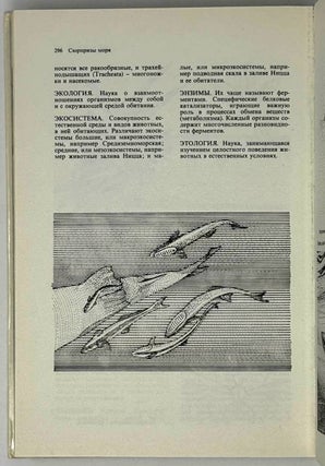 Сюрпризы моря