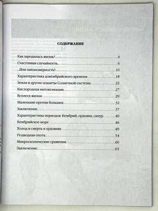 Зарождение жизни