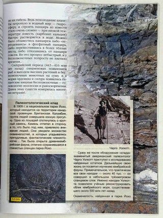 Зарождение жизни