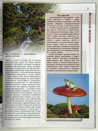 Зарождение жизни