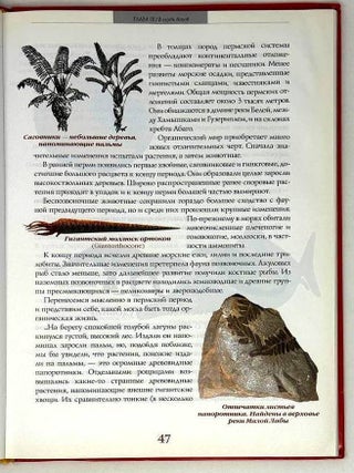 Занимательное краеведение