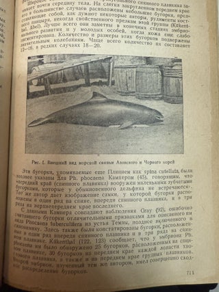 Зоологический журнал. Том XVII, выпуски 1, 2, 3, 4, 5, 6