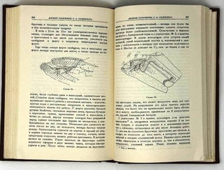 Исторический архив. Дневник полковника С.А. Рашевского (Порт-Артур, 1904)