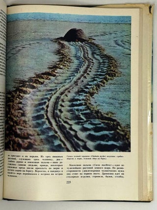 Континенты, на которых мы живем (комплект из 6 книг)