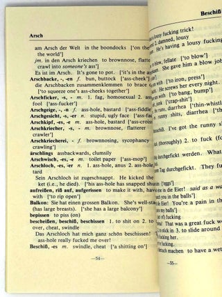 International Dictionary of Obscenities/ A Guide to Dirty Words and Indecent Expressions in Spanish, Italian, French, German, Russian