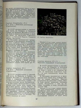 Лесные растения. Грибы-макромицеты. Лишайники. Мохообразные