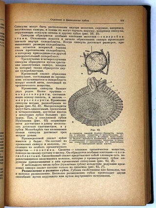 Зоология беспозвоночных. Учебник для факультетов естествознания педагогических институтов