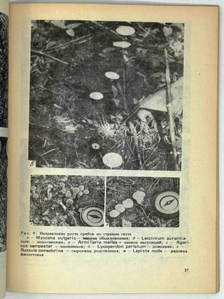 Биология высших грибов (отдельные вопросы)