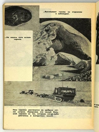 Семеро среди пингвинов