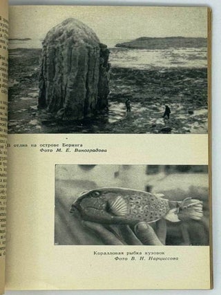В стороне от морских дорог
