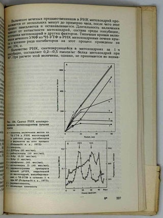 Митохондриальная ДНК