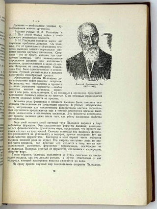 Рассказы о русском первенстве