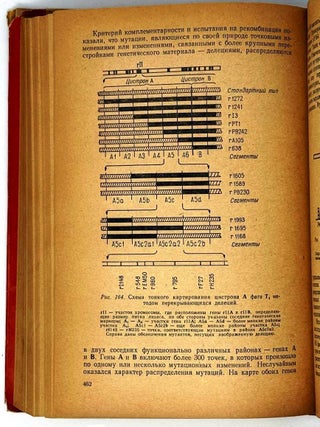 Генетика
