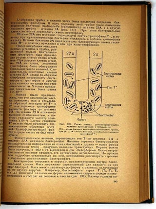 Генетика. Курс лекций
