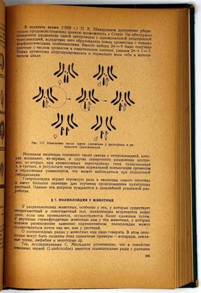 Генетика. Курс лекций