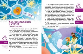 Как устроен мозг. Детская энциклопедия (Чевостик)
