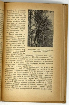 В тропиках Южного Китая