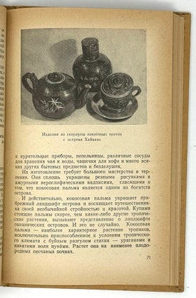 В тропиках Южного Китая