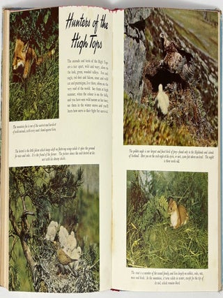 Collins' Boys' Annual 1956: Exciting Stories, Articles, Features
