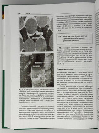 Биология. В трех томах