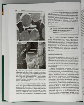 Биология. В трех томах