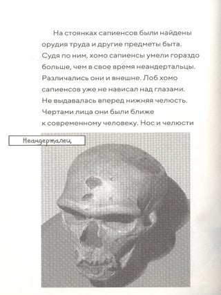Саблезуб на закате (Волшебный дом на дереве - 7)