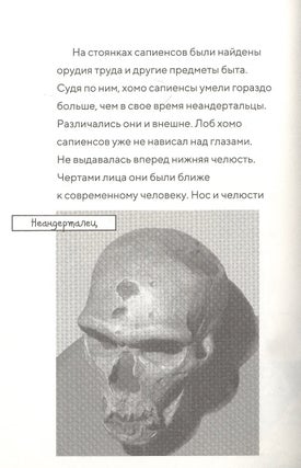 Саблезуб на закате (Волшебный дом на дереве - 7)