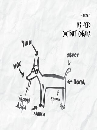 ВОТ СОБАКА! Секреты четвероногой Зинаиды