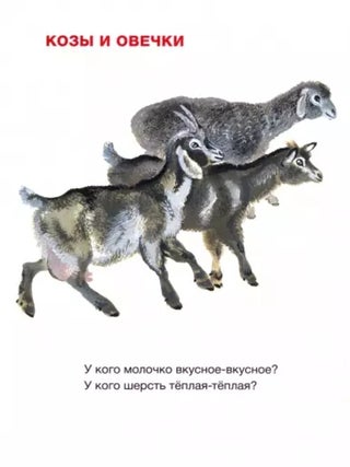 Вот они какие